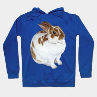 Brown and White Rex Rabbit Hoodie